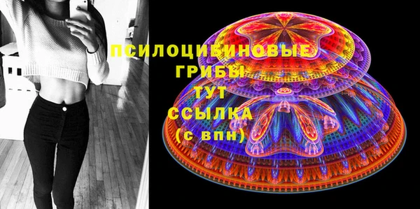 дмт Баксан