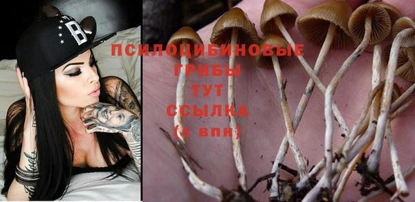 таблы Балахна