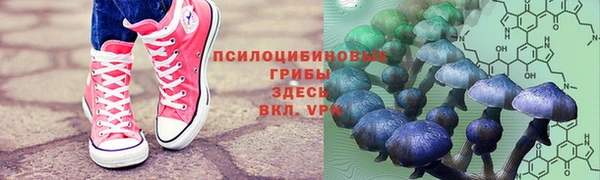 дмт Баксан